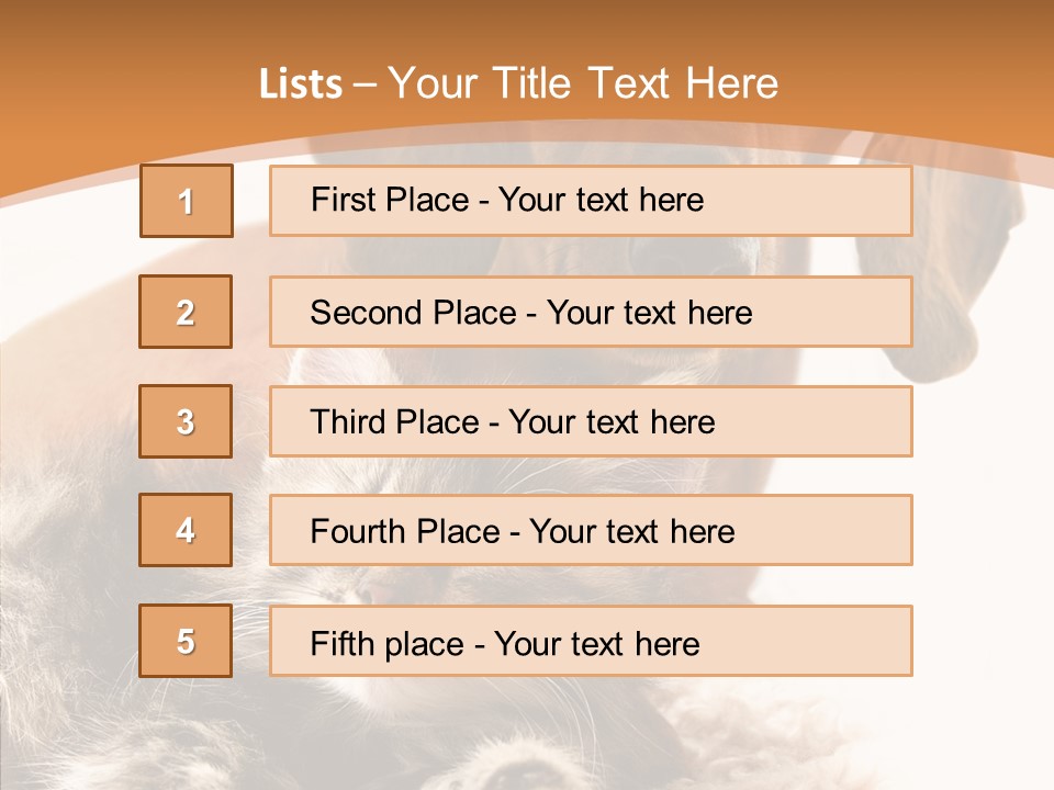 Kitten Rate Friends PowerPoint Template