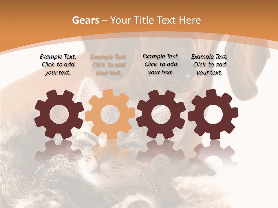 Kitten Rate Friends PowerPoint Template