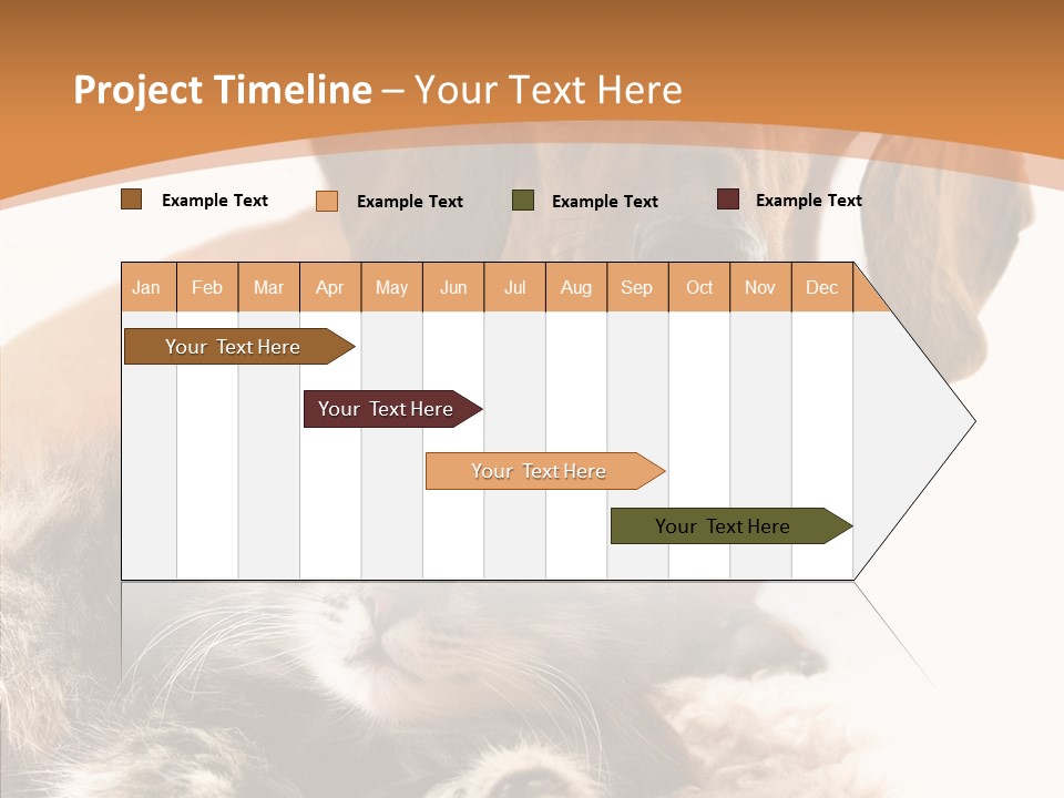 Kitten Rate Friends PowerPoint Template