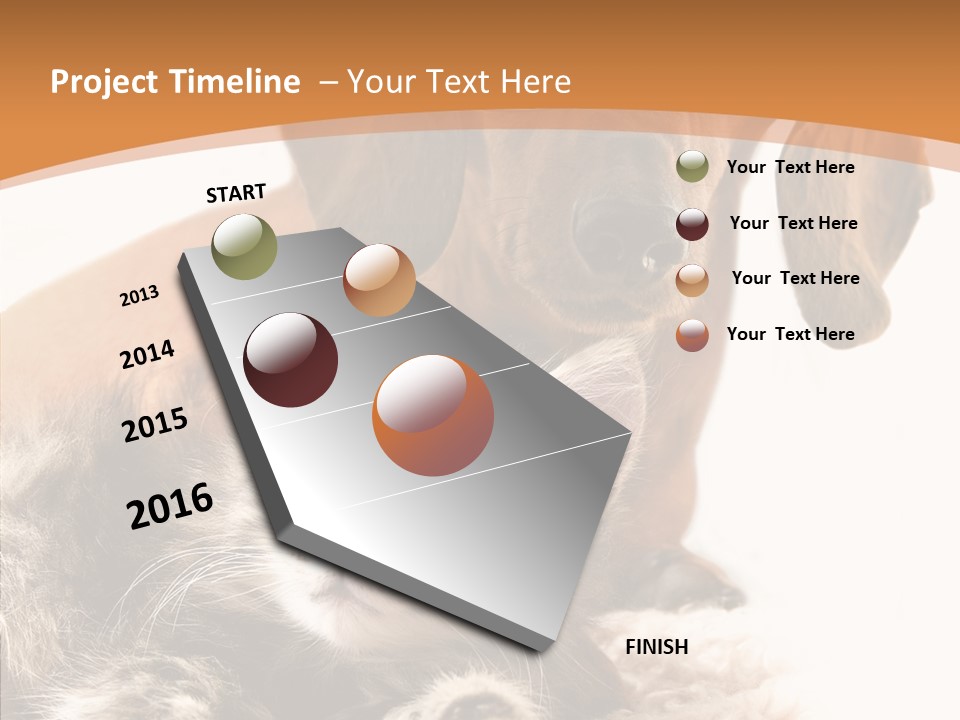 Kitten Rate Friends PowerPoint Template