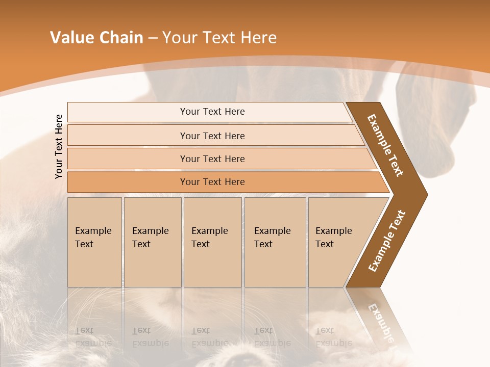 Kitten Rate Friends PowerPoint Template