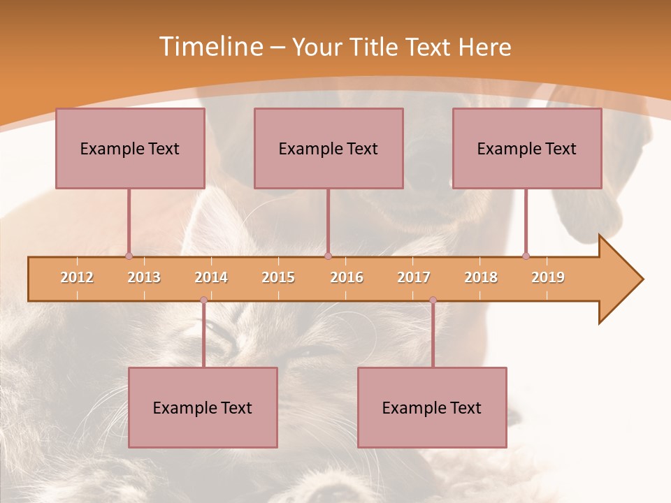 Kitten Rate Friends PowerPoint Template