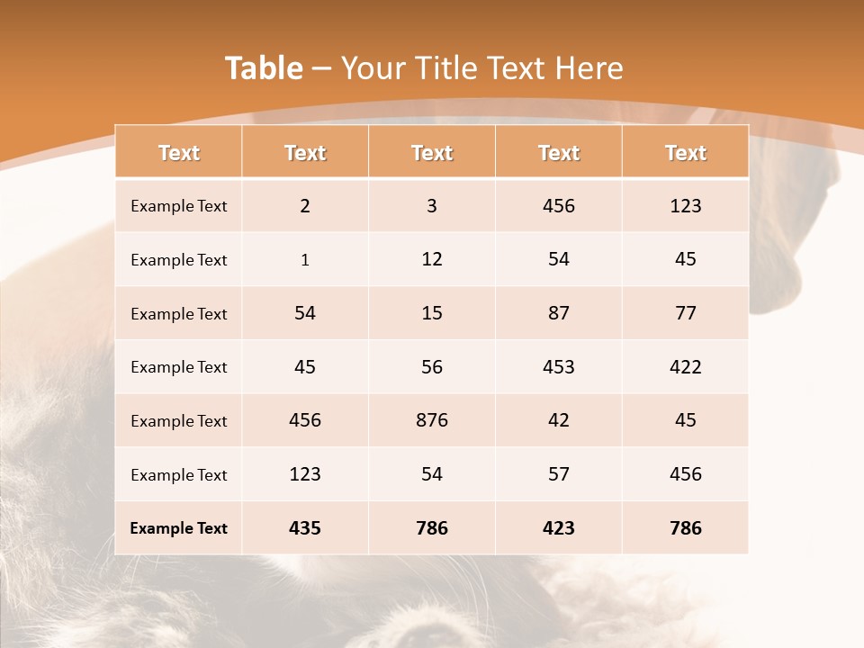 Kitten Rate Friends PowerPoint Template