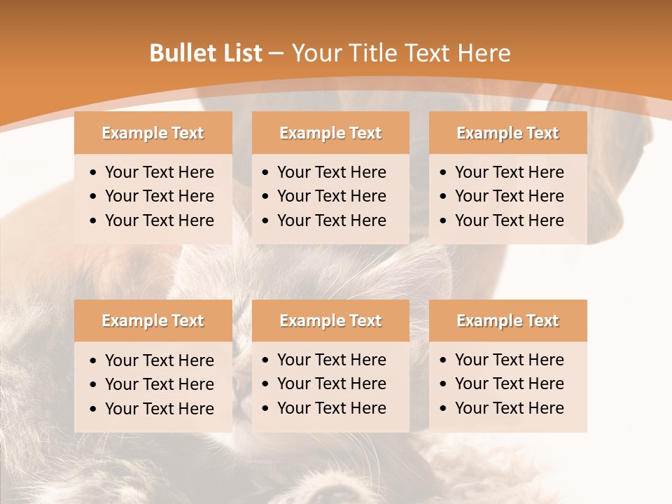 Kitten Rate Friends PowerPoint Template