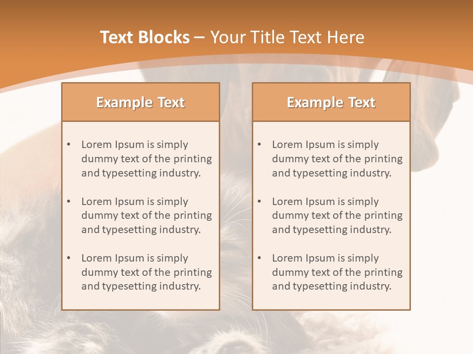Kitten Rate Friends PowerPoint Template