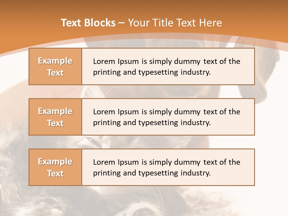 Kitten Rate Friends PowerPoint Template