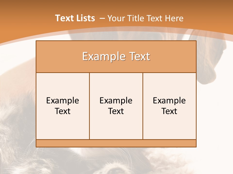 Kitten Rate Friends PowerPoint Template