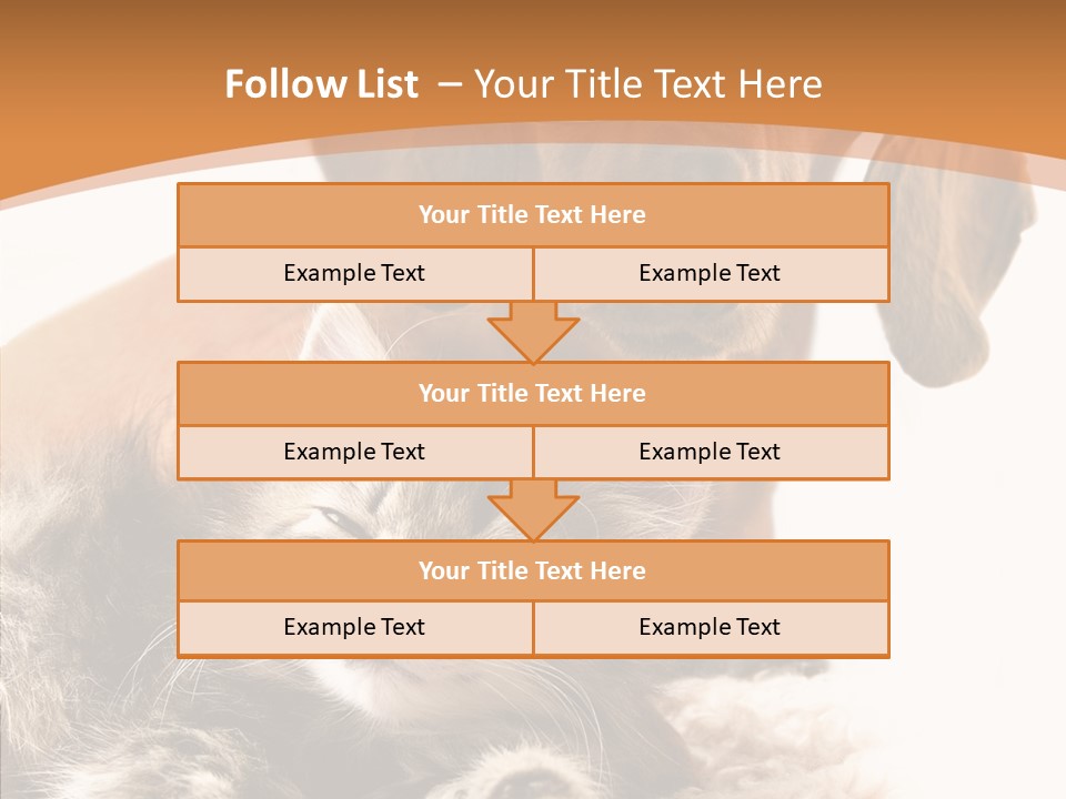 Kitten Rate Friends PowerPoint Template