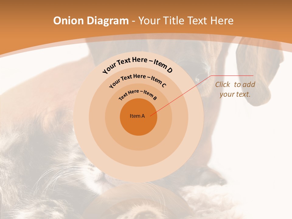 Kitten Rate Friends PowerPoint Template