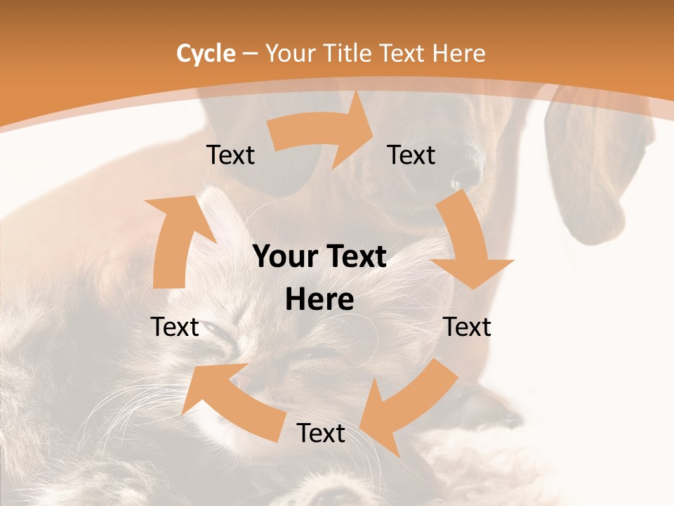 Kitten Rate Friends PowerPoint Template