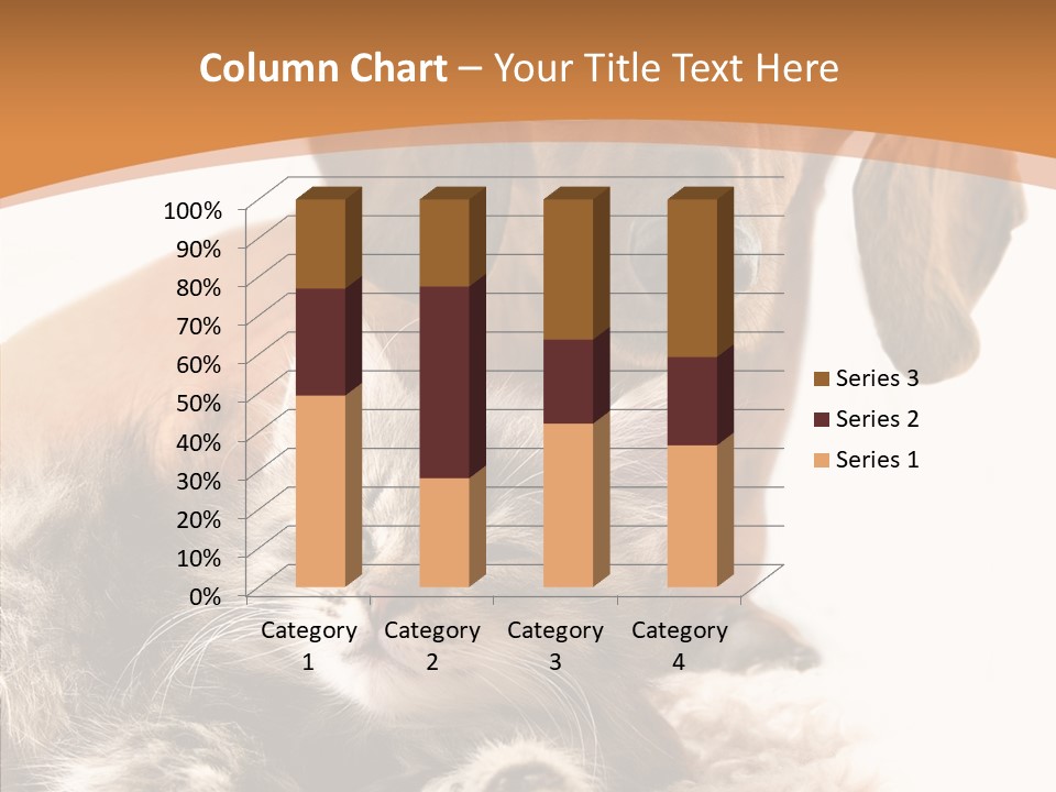 Kitten Rate Friends PowerPoint Template
