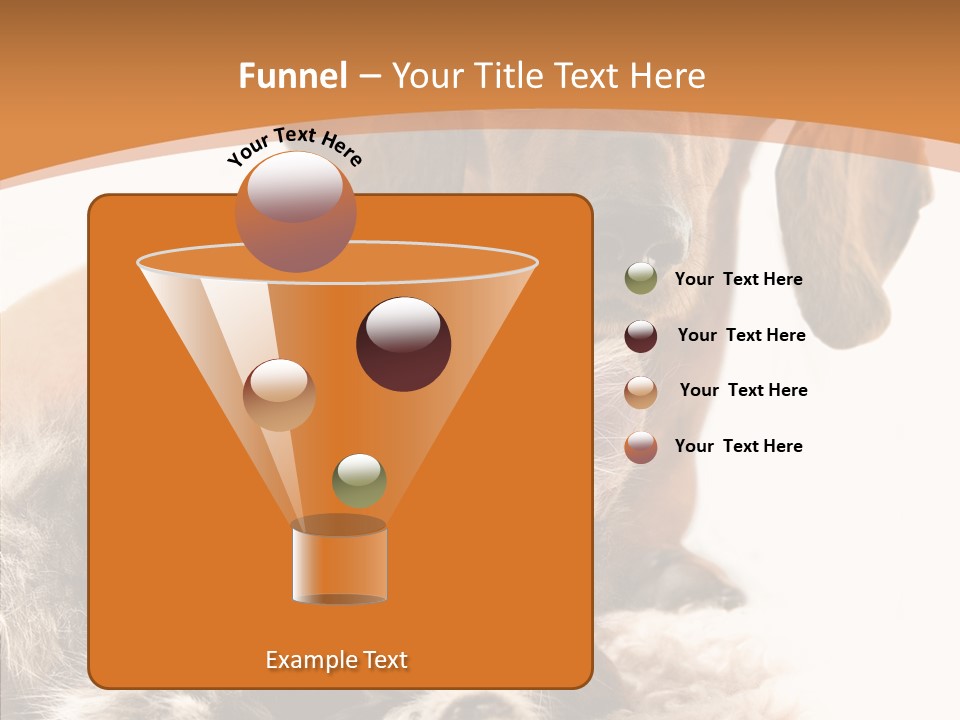 Kitten Rate Friends PowerPoint Template