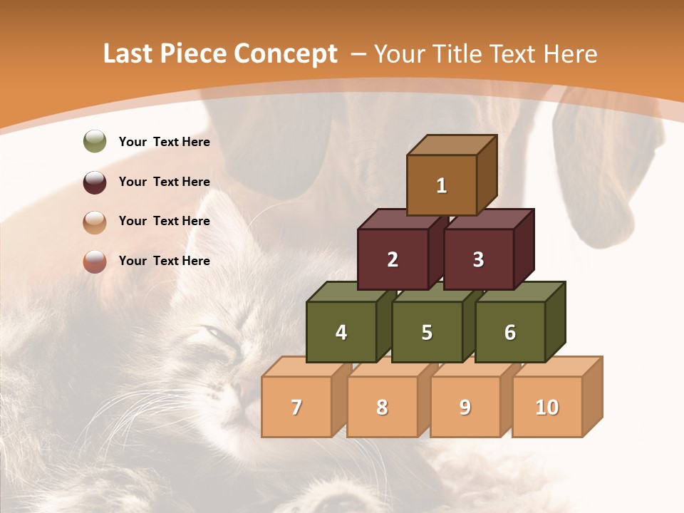 Kitten Rate Friends PowerPoint Template