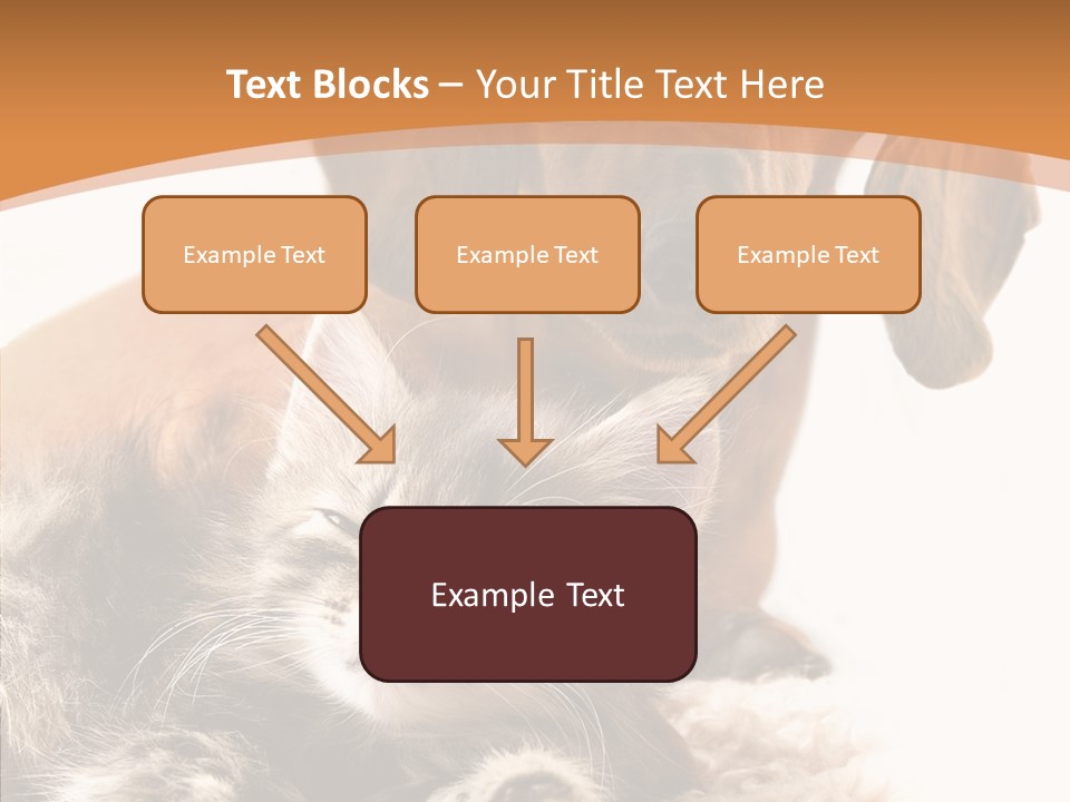 Kitten Rate Friends PowerPoint Template