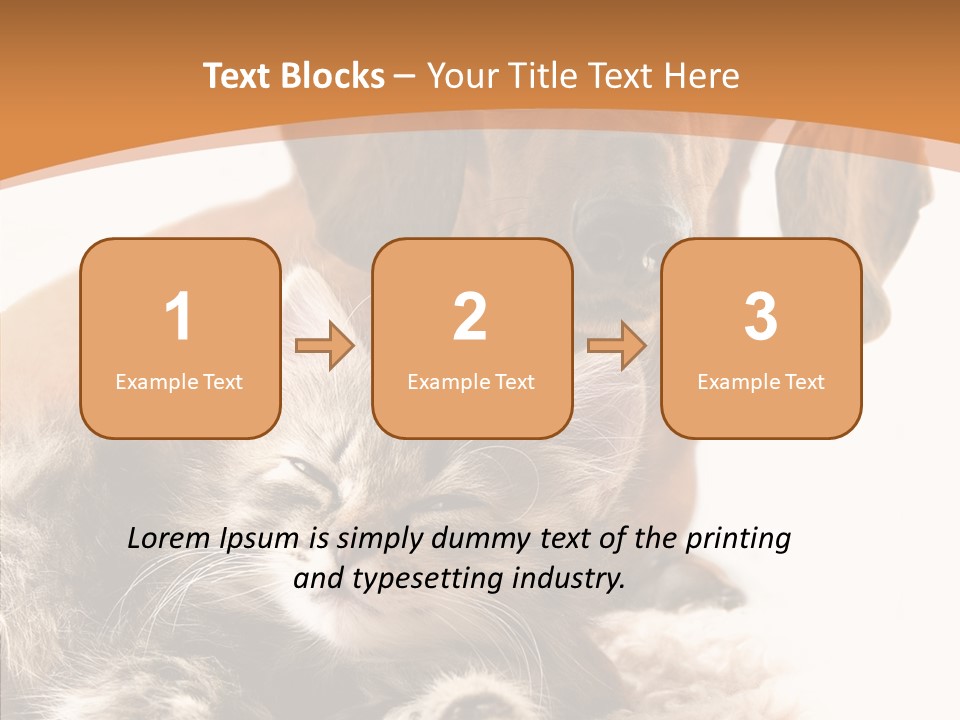 Kitten Rate Friends PowerPoint Template
