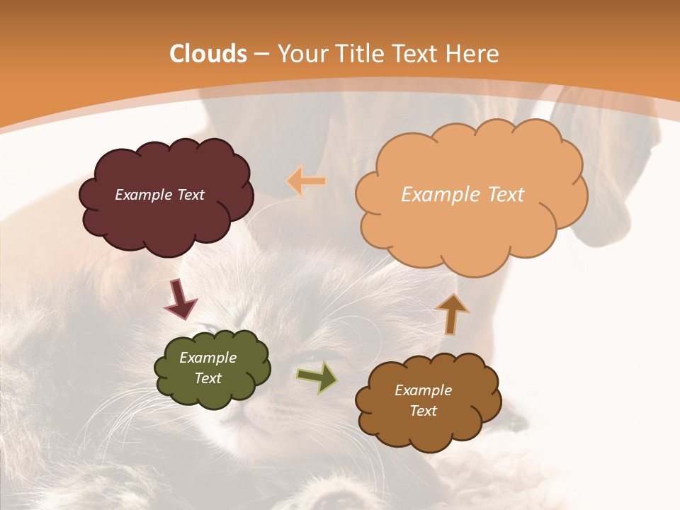 Kitten Rate Friends PowerPoint Template