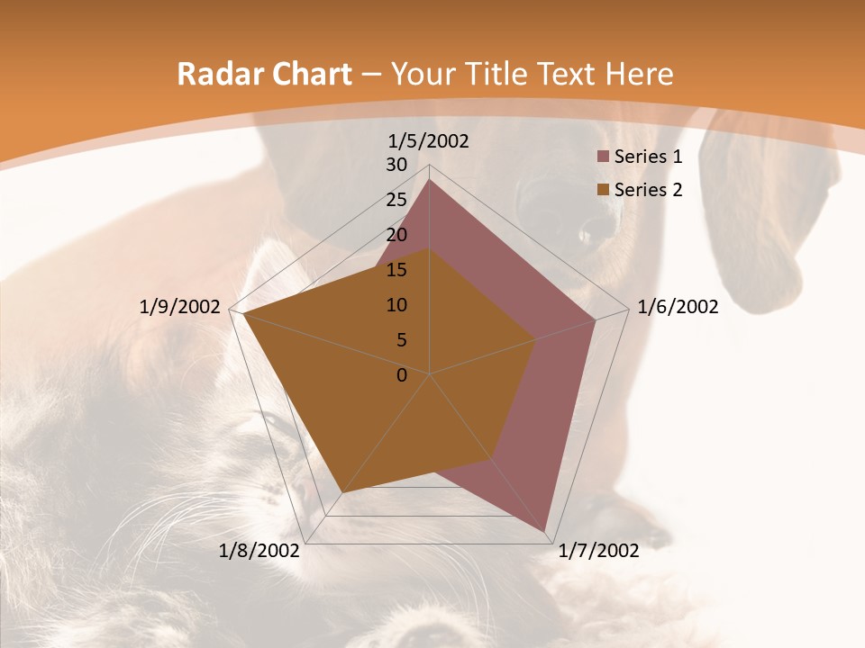 Kitten Rate Friends PowerPoint Template