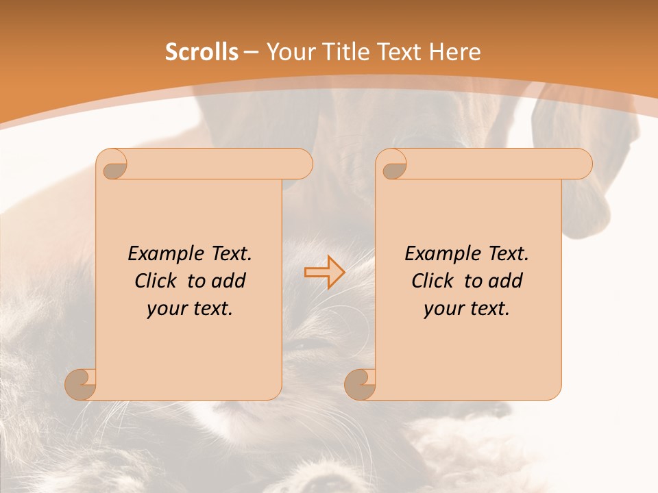Kitten Rate Friends PowerPoint Template