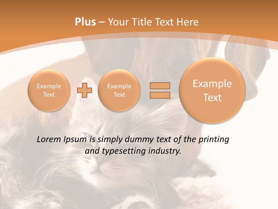 Kitten Rate Friends PowerPoint Template
