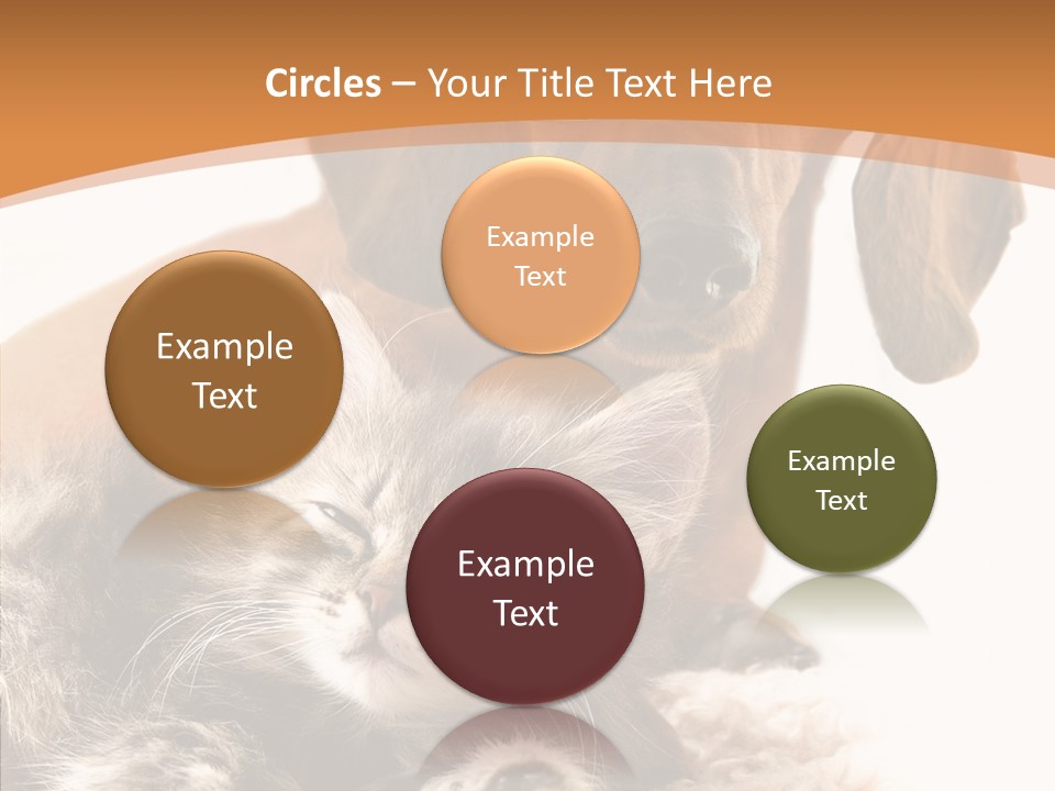 Kitten Rate Friends PowerPoint Template