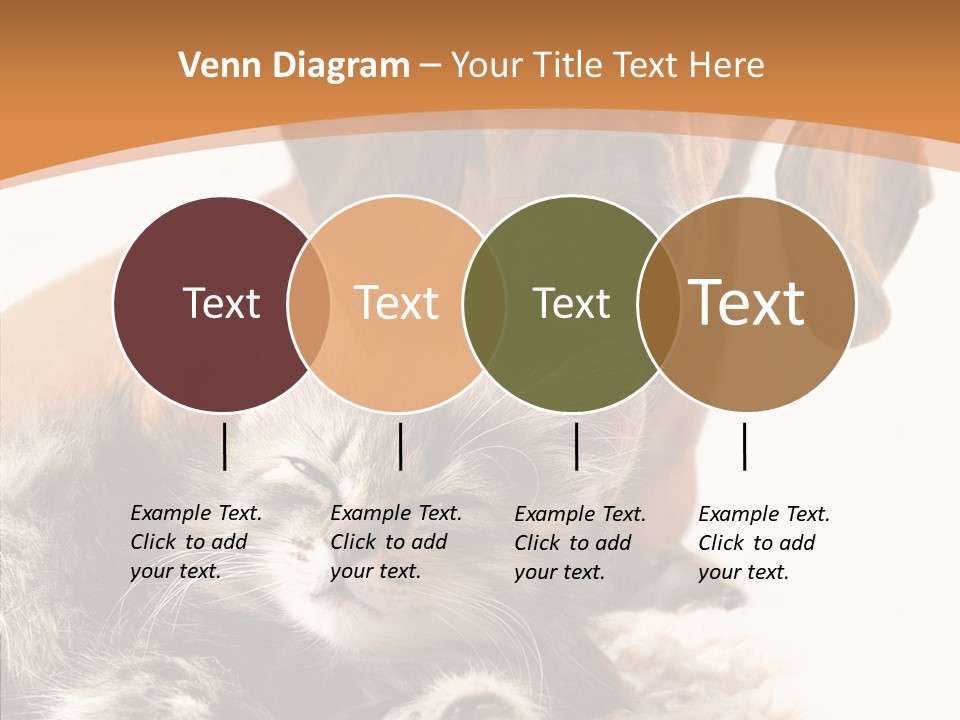 Kitten Rate Friends PowerPoint Template