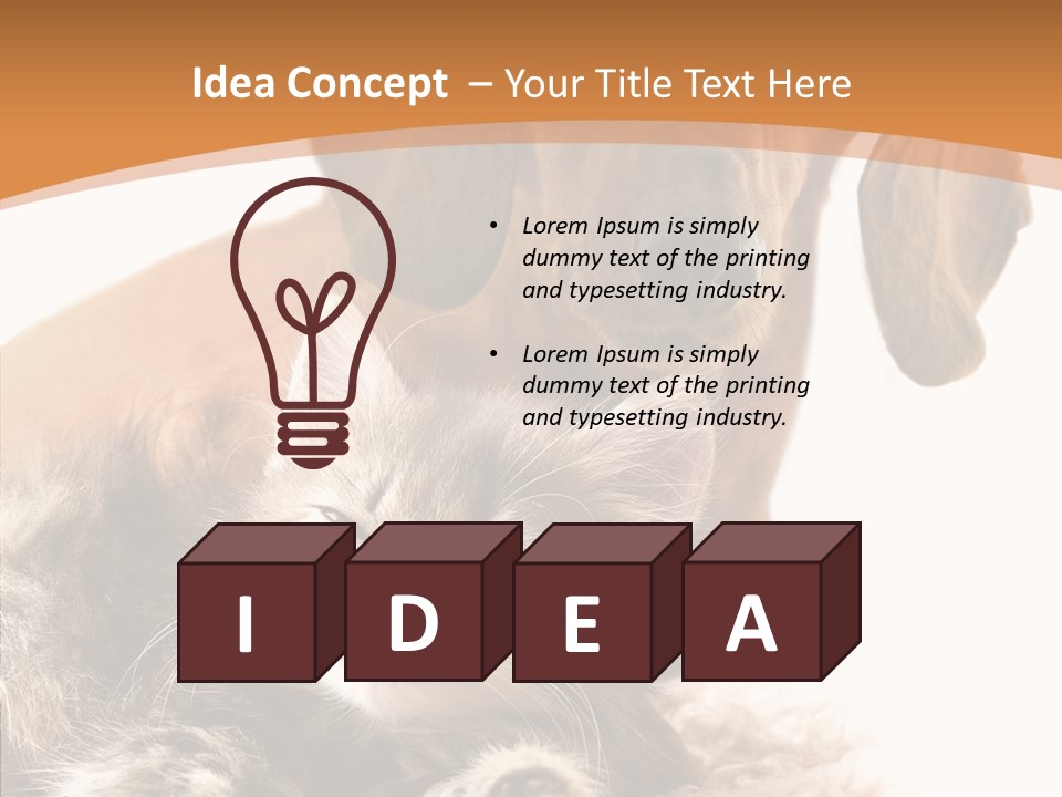 Kitten Rate Friends PowerPoint Template