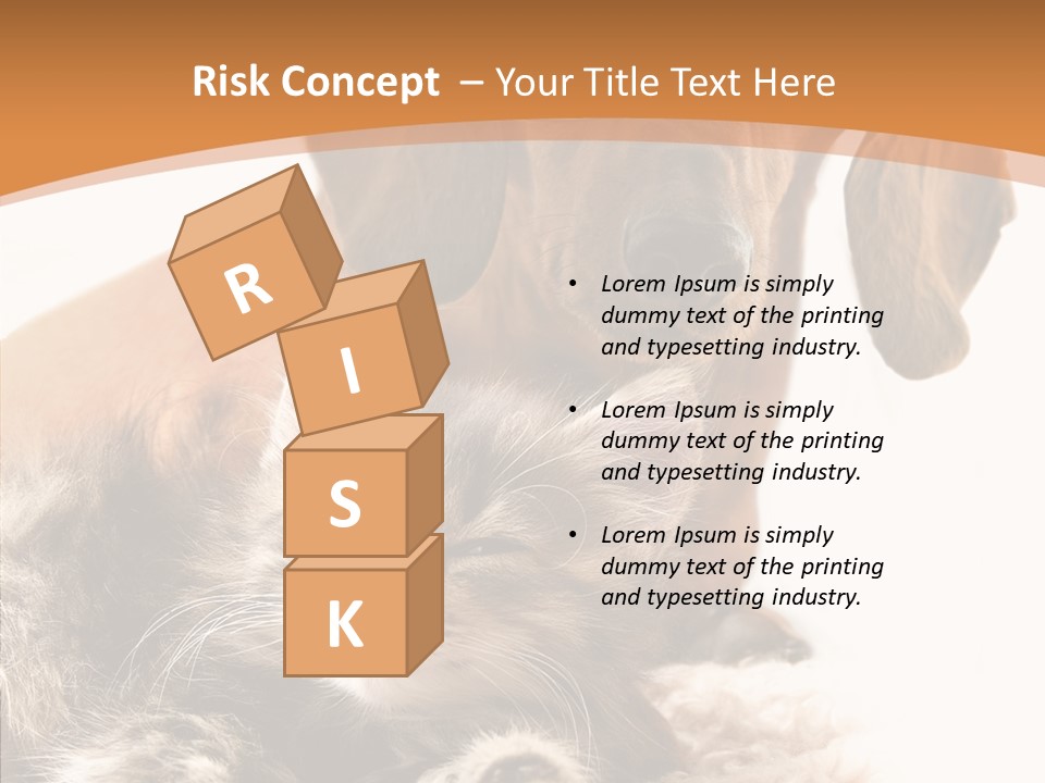 Kitten Rate Friends PowerPoint Template