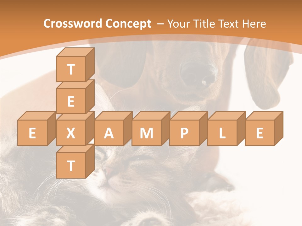 Kitten Rate Friends PowerPoint Template