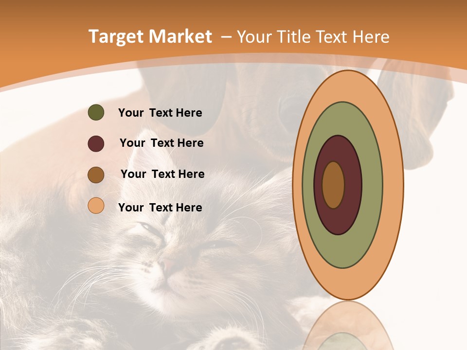 Kitten Rate Friends PowerPoint Template