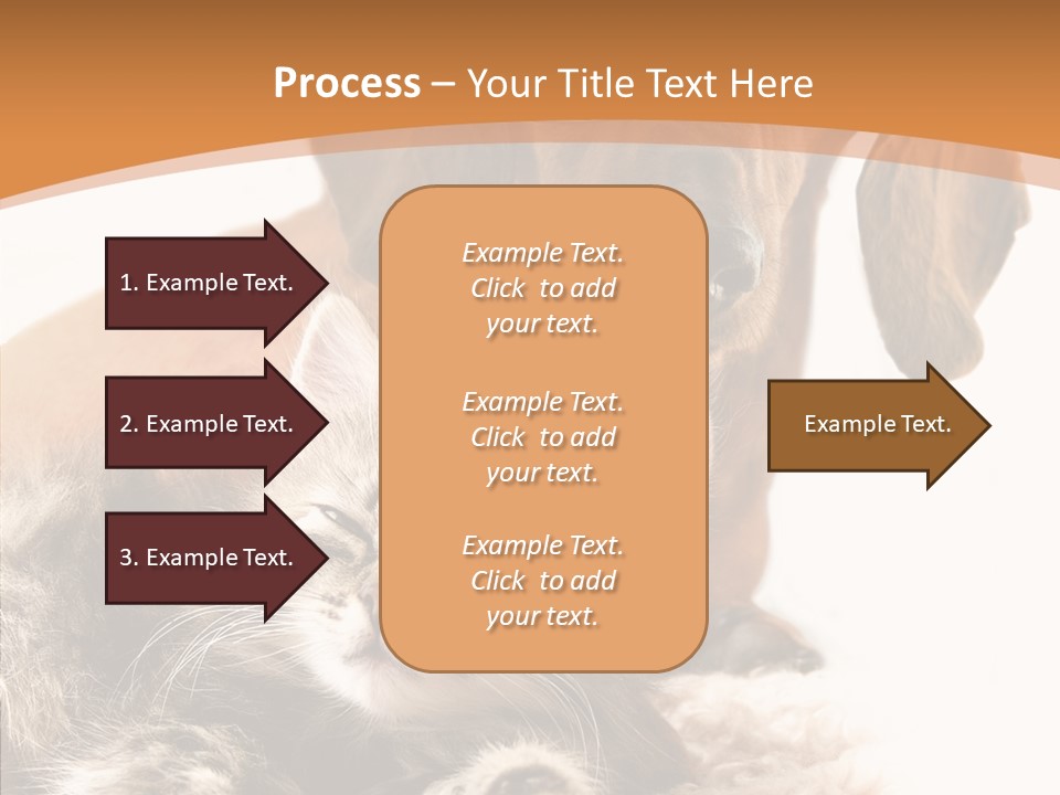 Kitten Rate Friends PowerPoint Template