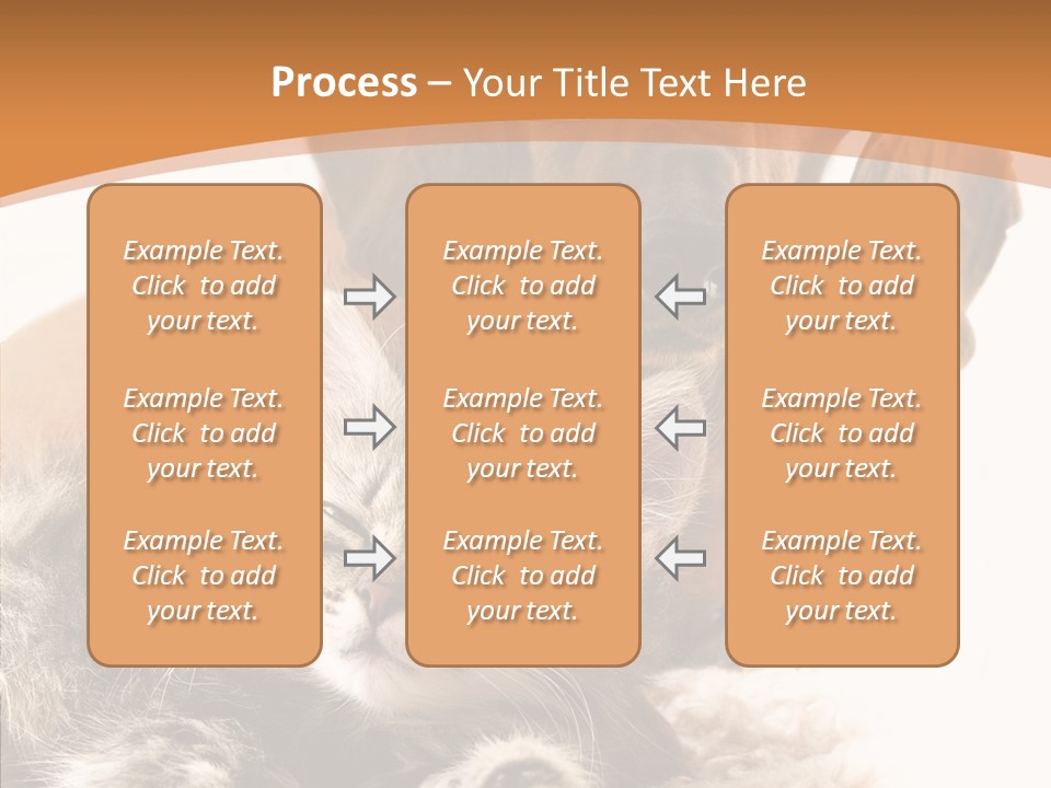 Kitten Rate Friends PowerPoint Template