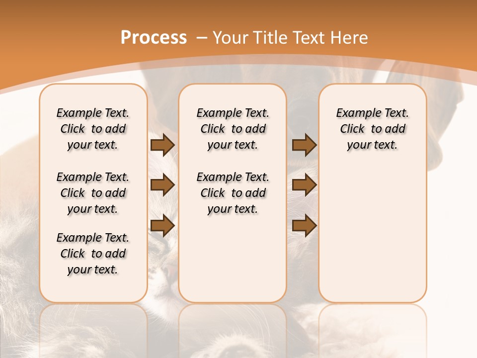 Kitten Rate Friends PowerPoint Template