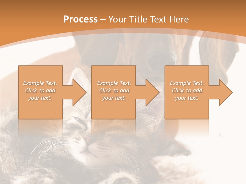Kitten Rate Friends PowerPoint Template