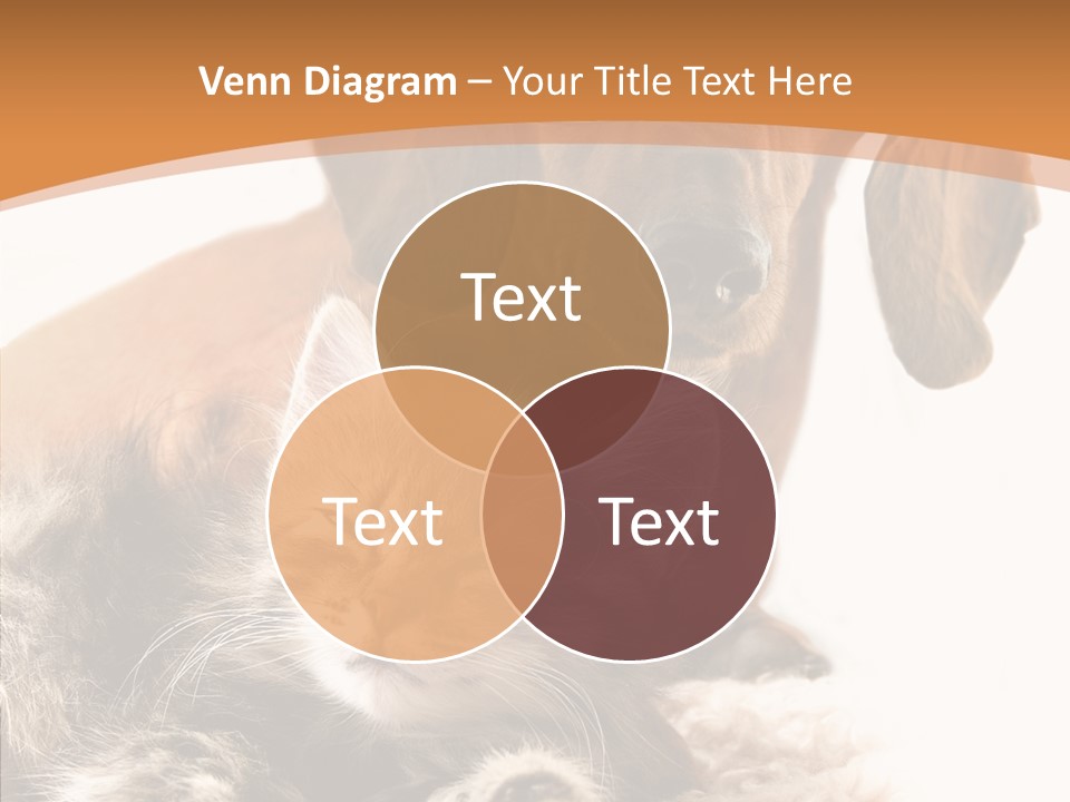 Kitten Rate Friends PowerPoint Template