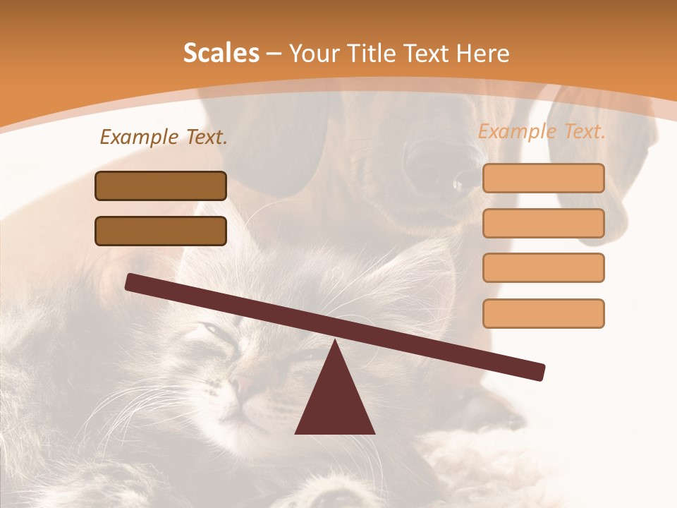 Kitten Rate Friends PowerPoint Template