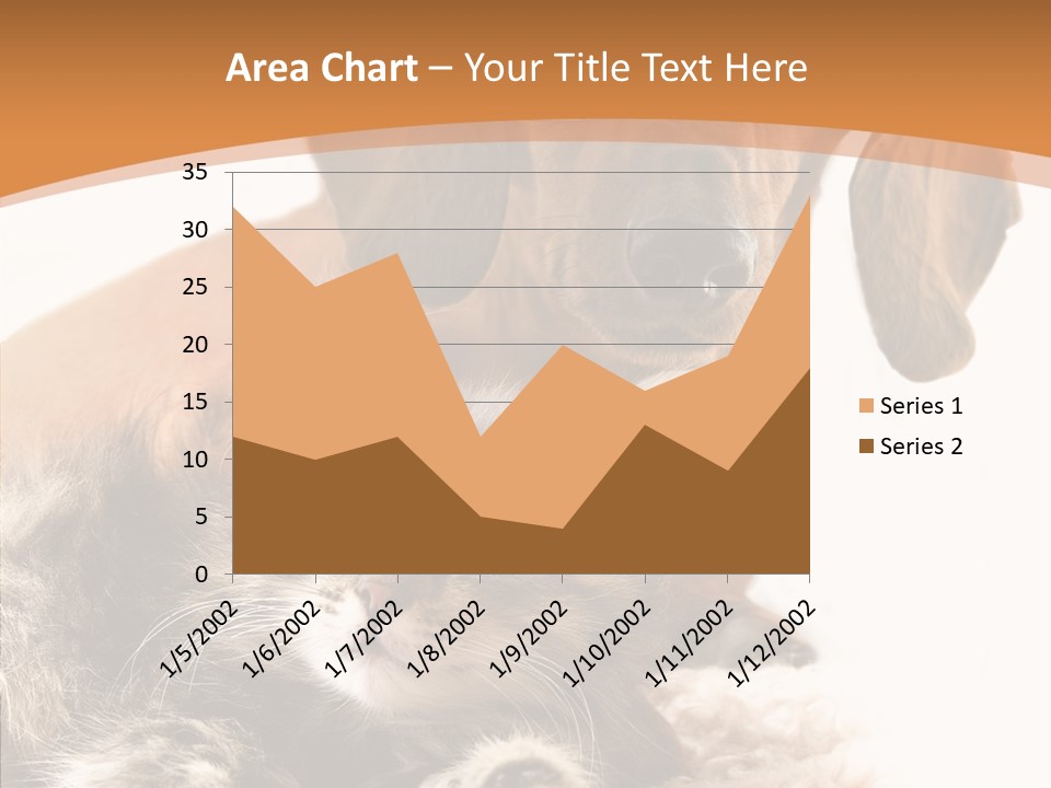 Kitten Rate Friends PowerPoint Template