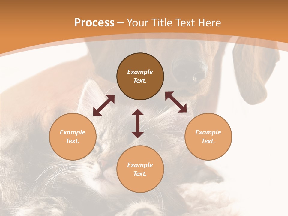 Kitten Rate Friends PowerPoint Template
