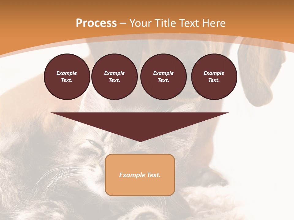 Kitten Rate Friends PowerPoint Template
