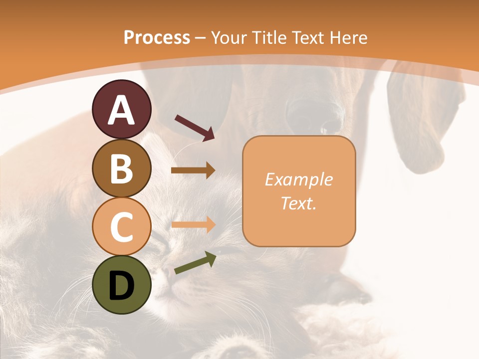 Kitten Rate Friends PowerPoint Template