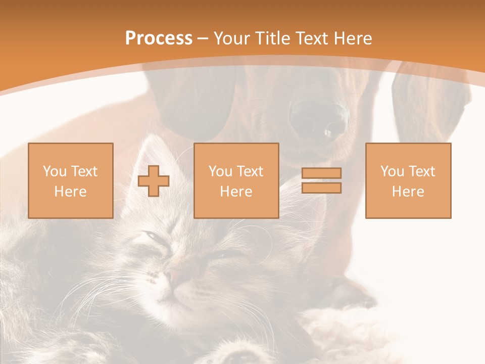 Kitten Rate Friends PowerPoint Template