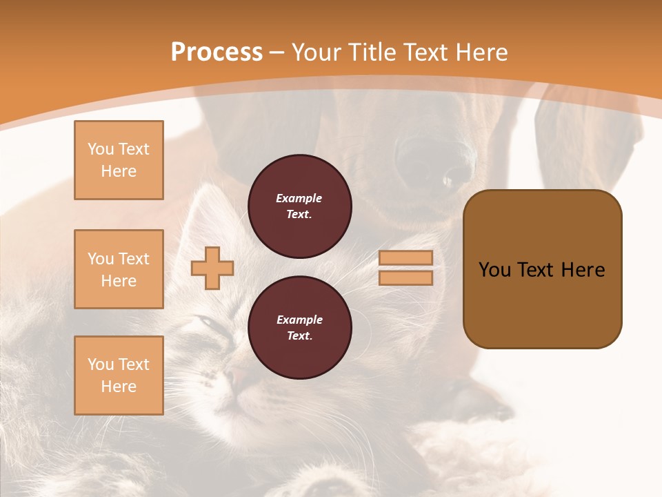 Kitten Rate Friends PowerPoint Template
