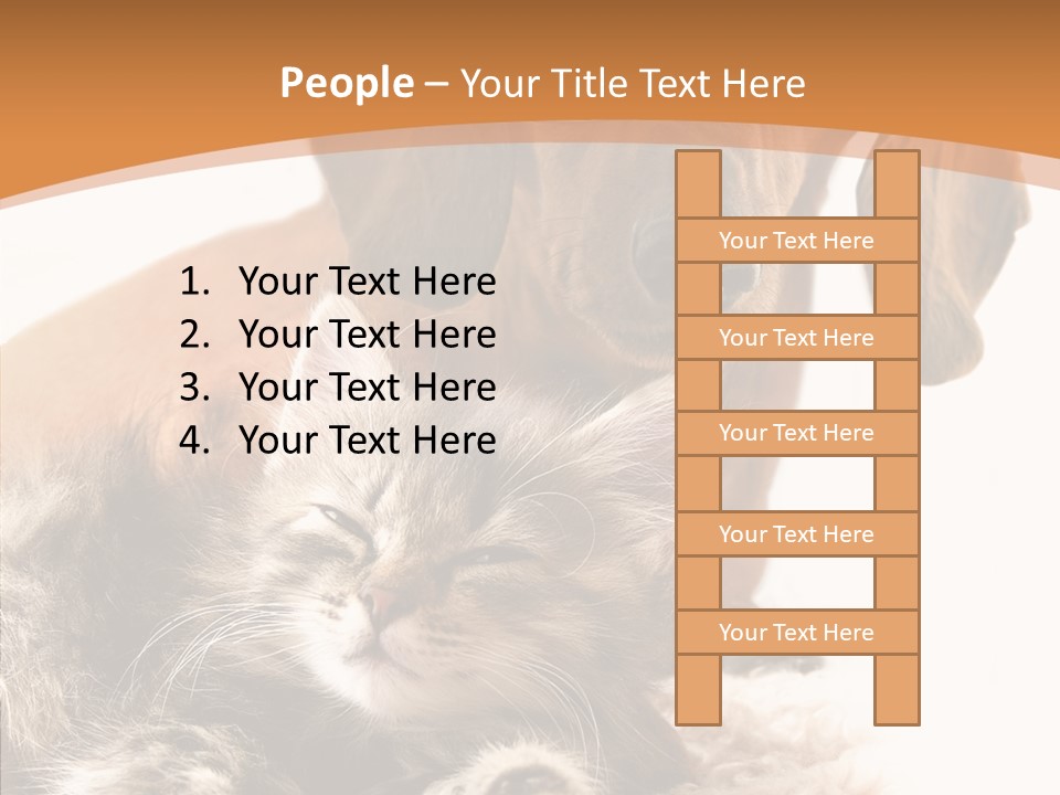 Kitten Rate Friends PowerPoint Template