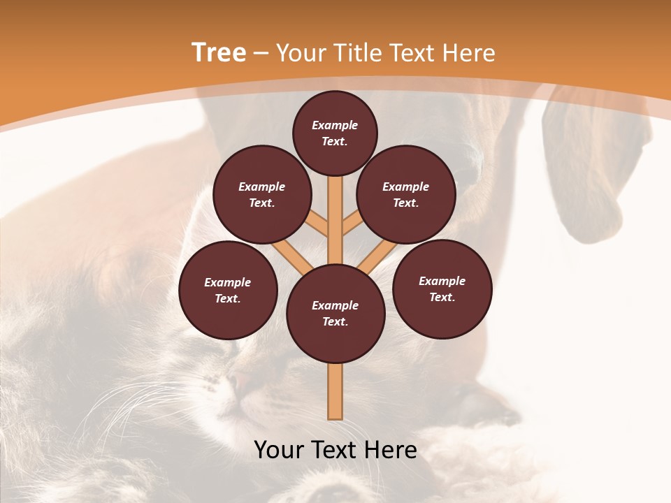 Kitten Rate Friends PowerPoint Template