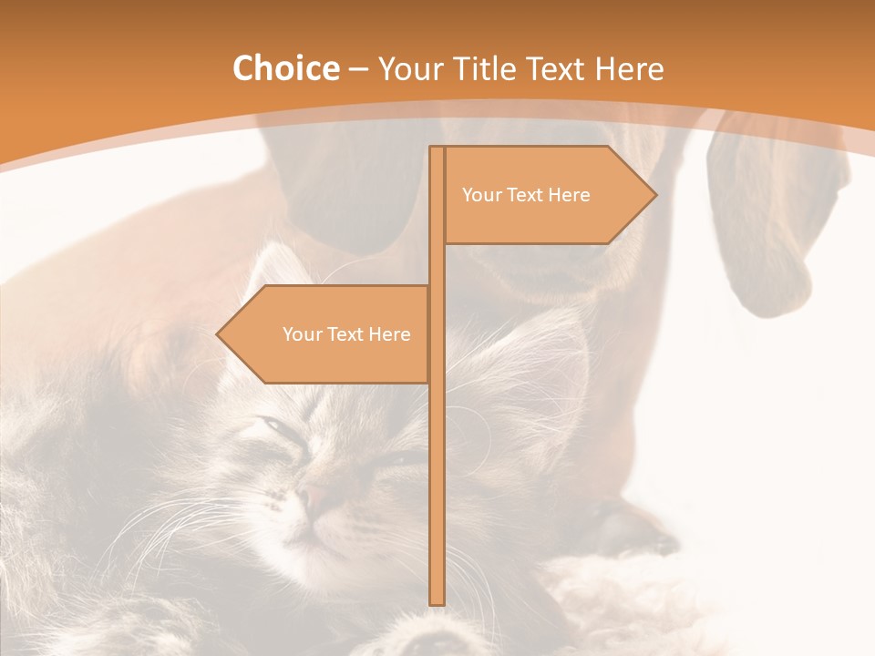 Kitten Rate Friends PowerPoint Template