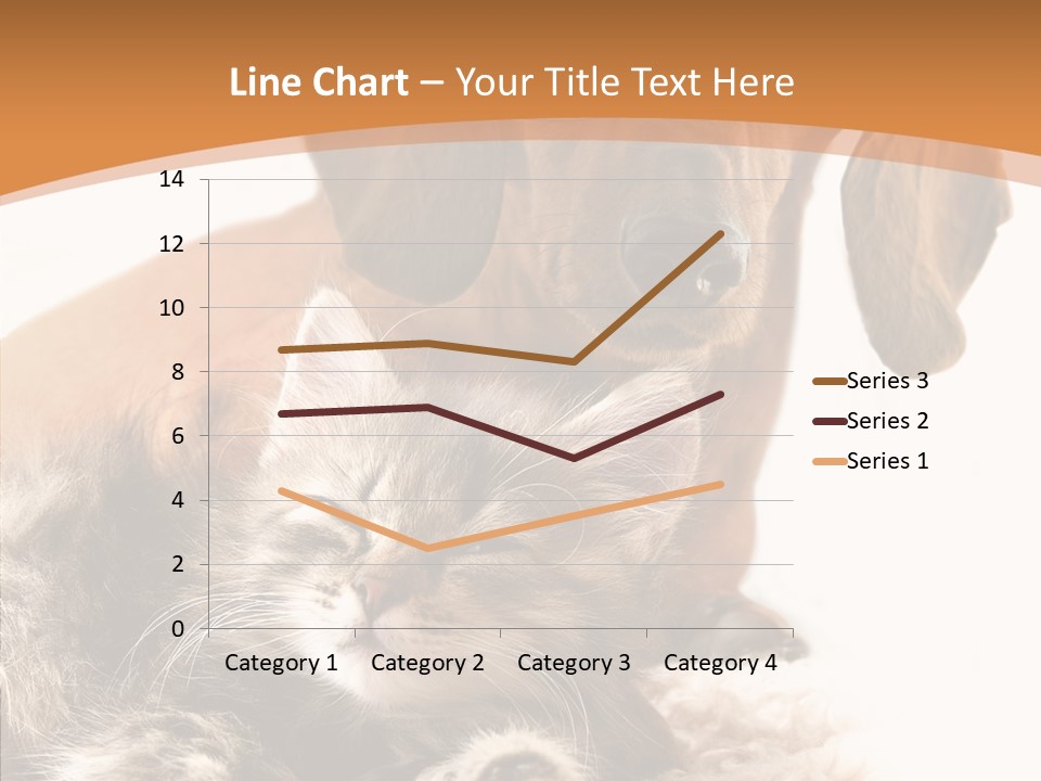 Kitten Rate Friends PowerPoint Template