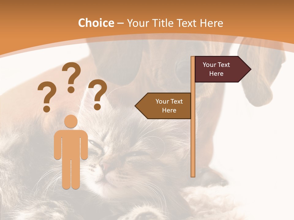 Kitten Rate Friends PowerPoint Template