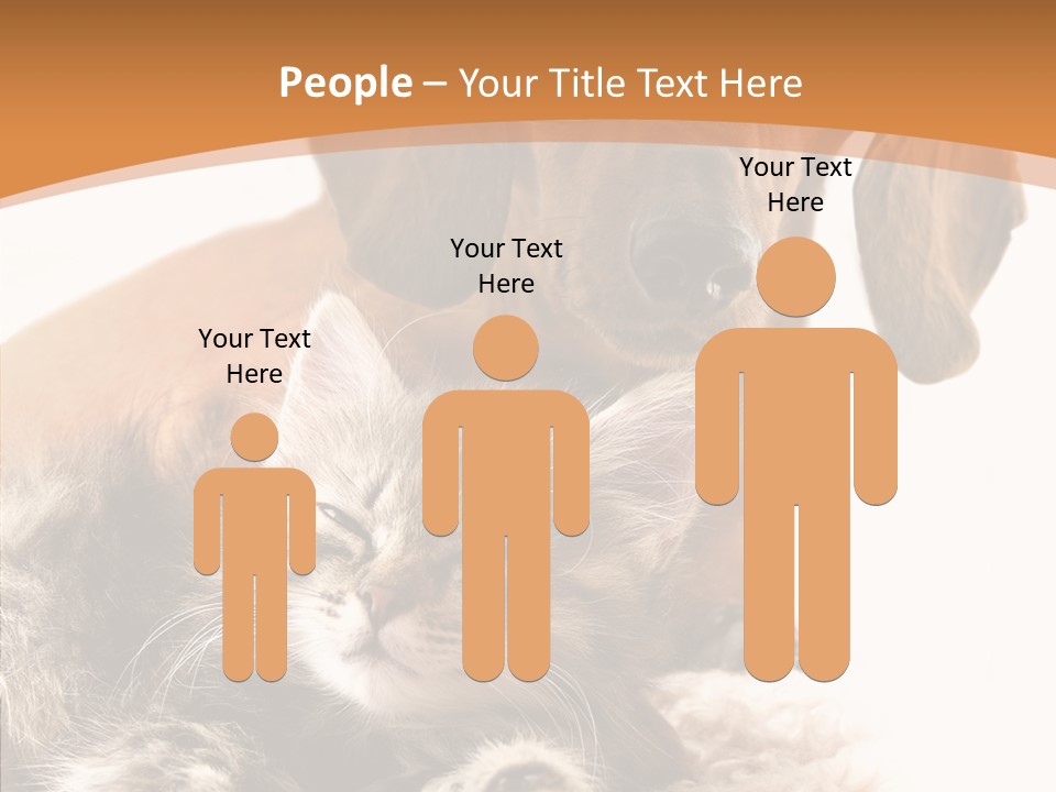 Kitten Rate Friends PowerPoint Template