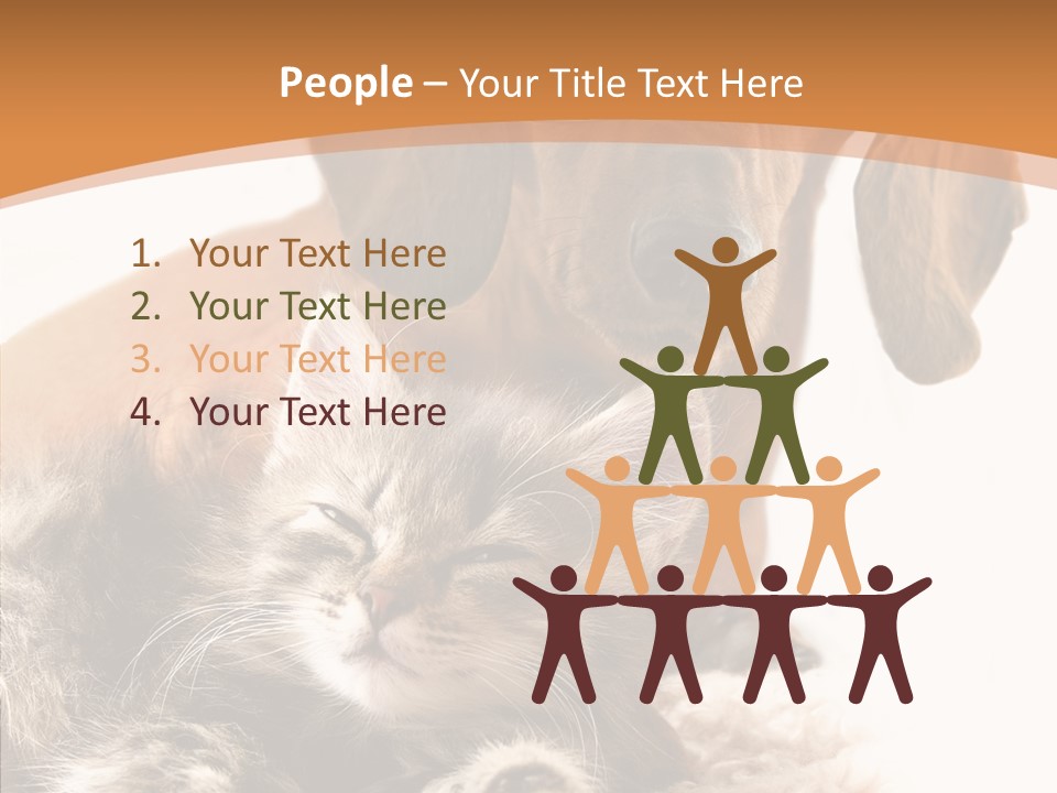 Kitten Rate Friends PowerPoint Template