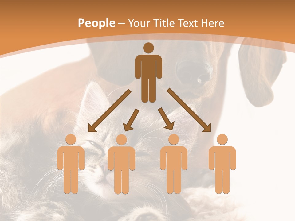 Kitten Rate Friends PowerPoint Template