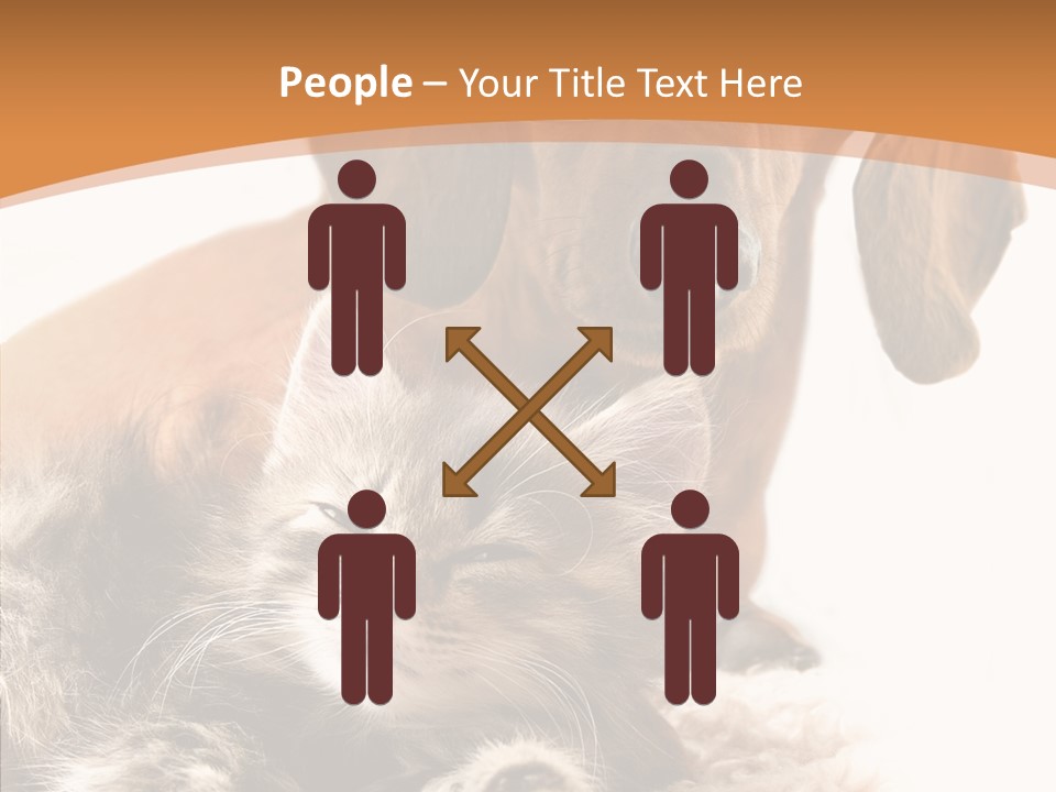 Kitten Rate Friends PowerPoint Template